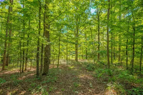0 Pinewood Road Nunnelly TN 37137