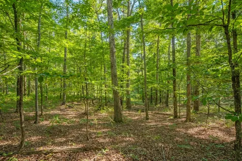 0 Pinewood Road Nunnelly TN 37137