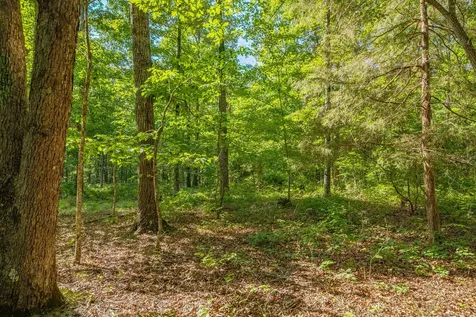 0 Pinewood Road Nunnelly TN 37137