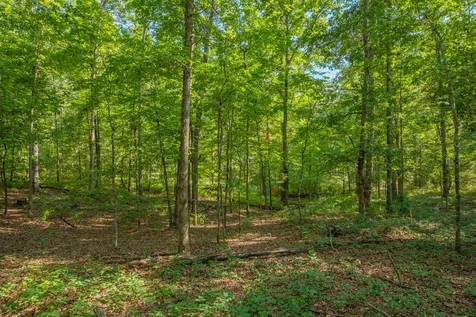 0 Pinewood Road Nunnelly TN 37137