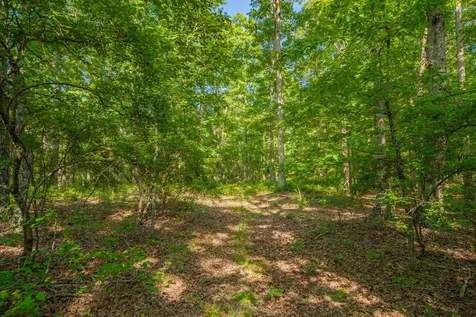 0 Pinewood Road Nunnelly TN 37137