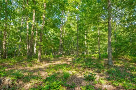 0 Pinewood Road Nunnelly TN 37137
