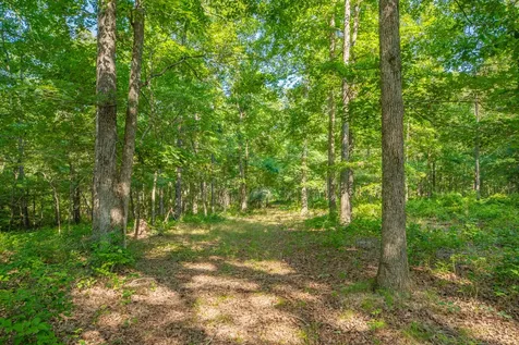 0 Pinewood Road Nunnelly TN 37137