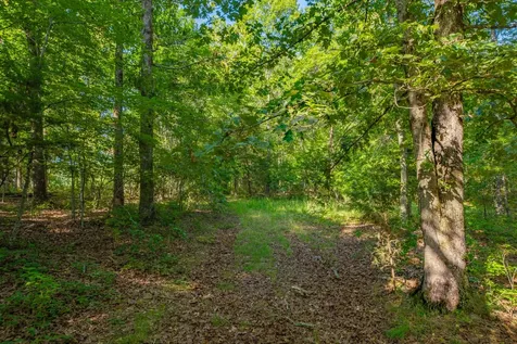 0 Pinewood Road Nunnelly TN 37137