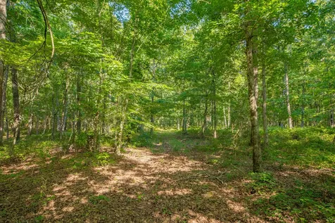0 Pinewood Road Nunnelly TN 37137