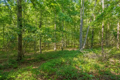 0 Pinewood Road Nunnelly TN 37137