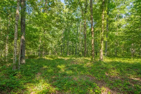 0 Pinewood Road Nunnelly TN 37137