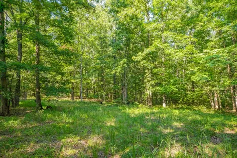 0 Pinewood Road Nunnelly TN 37137