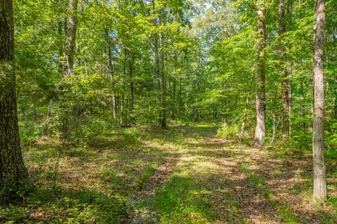0 Pinewood Road Nunnelly TN 37137