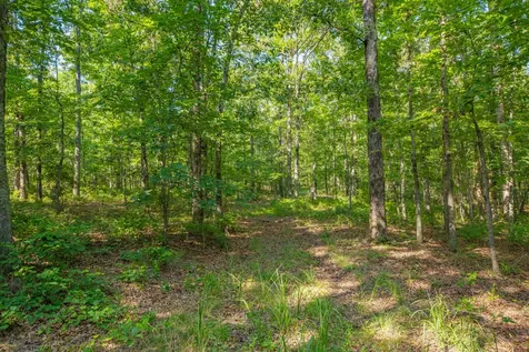 0 Pinewood Road Nunnelly TN 37137