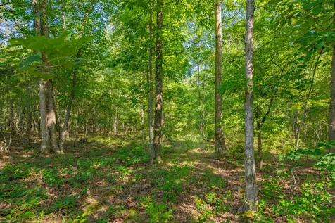 0 Pinewood Road Nunnelly TN 37137