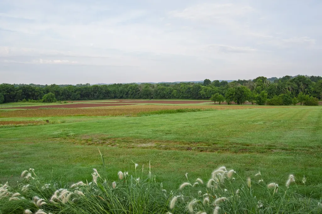 2023 Dr Robertson Road Spring Hill TN 37174