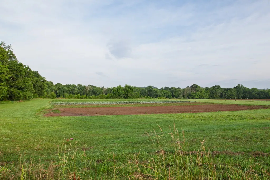 2023 Dr Robertson Road Spring Hill TN 37174