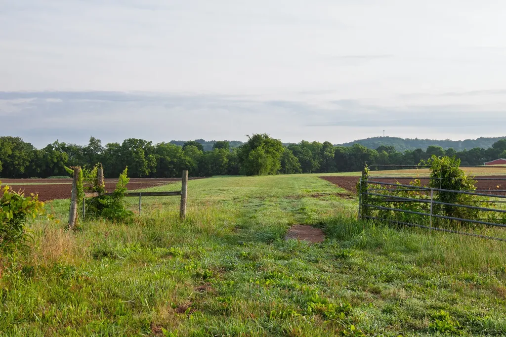 2023 Dr Robertson Road Spring Hill TN 37174