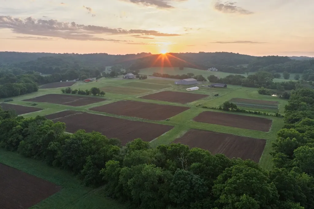 2023 Dr Robertson Road Spring Hill TN 37174