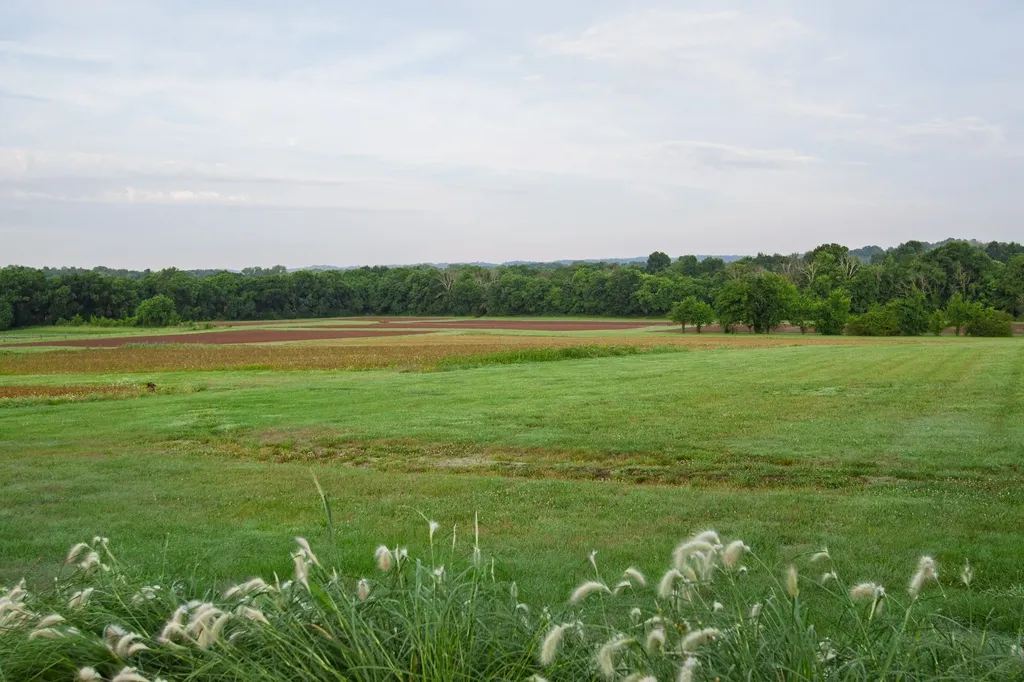 2023 Dr Robertson Road Spring Hill TN 37174