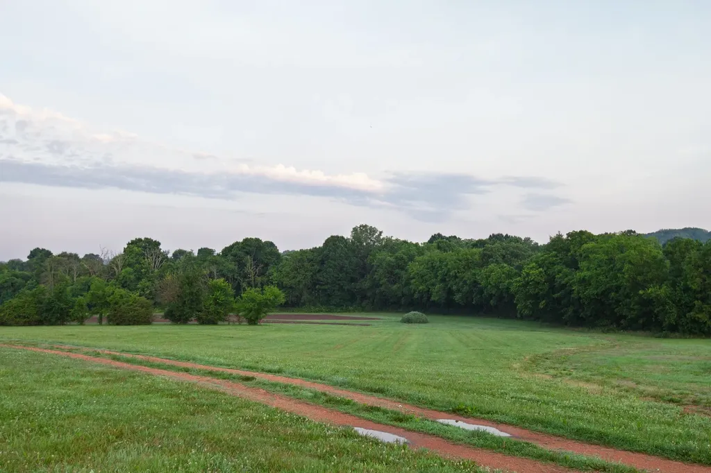 2023 Dr Robertson Road Spring Hill TN 37174