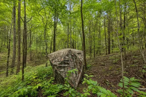 4876 Louise Creek Road Cunningham TN 37052