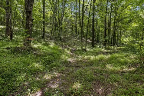 4876 Louise Creek Road Cunningham TN 37052