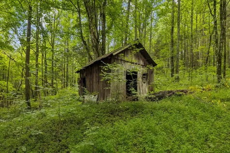 4876 Louise Creek Road Cunningham TN 37052