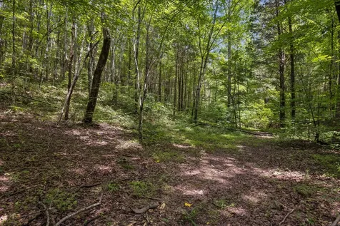 4876 Louise Creek Road Cunningham TN 37052