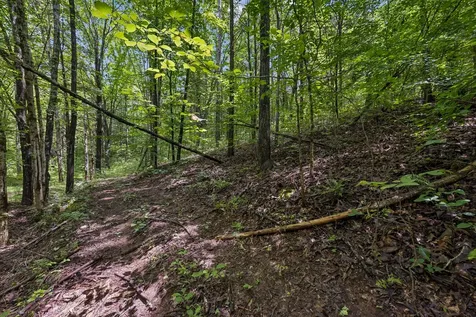 4876 Louise Creek Road Cunningham TN 37052