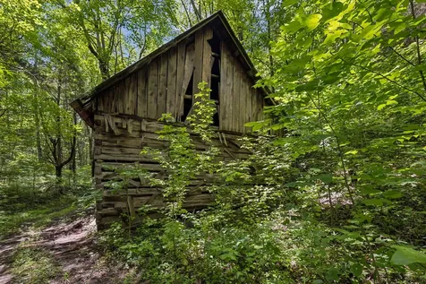 4876 Louise Creek Road Cunningham TN 37052