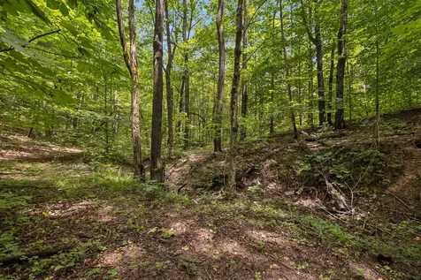 4876 Louise Creek Road Cunningham TN 37052