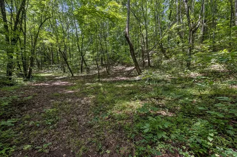 4876 Louise Creek Road Cunningham TN 37052