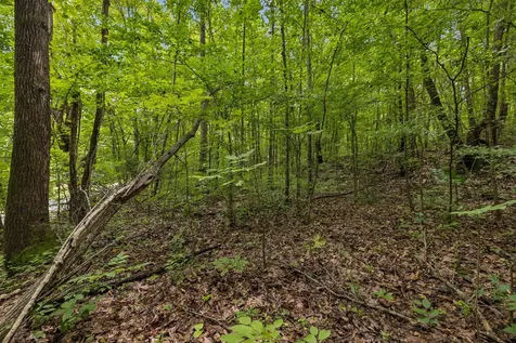 4876 Louise Creek Road Cunningham TN 37052
