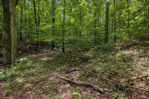 4876 Louise Creek Road Cunningham TN 37052