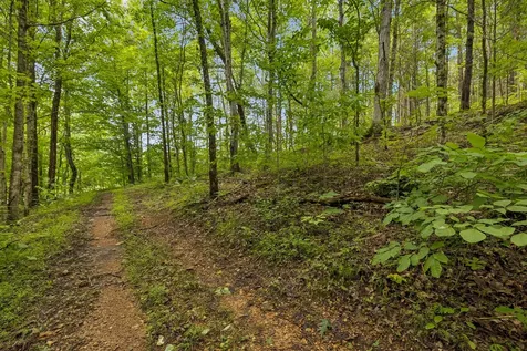 4876 Louise Creek Road Cunningham TN 37052