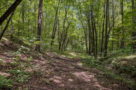 4876 Louise Creek Road Cunningham TN 37052