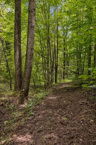 4876 Louise Creek Road Cunningham TN 37052