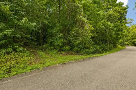 4876 Louise Creek Road Cunningham TN 37052