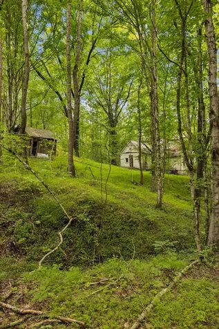 4876 Louise Creek Road Cunningham TN 37052