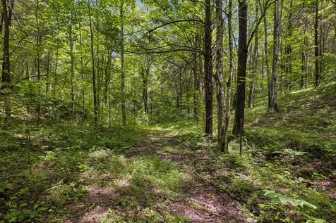4876 Louise Creek Road Cunningham TN 37052