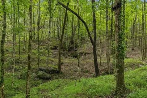 4876 Louise Creek Road Cunningham TN 37052