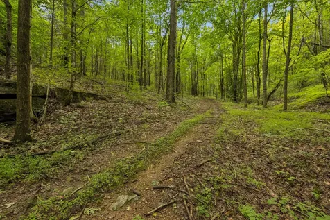 4876 Louise Creek Road Cunningham TN 37052