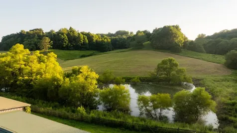 3556 Buford Station Road Lynnville TN 38472
