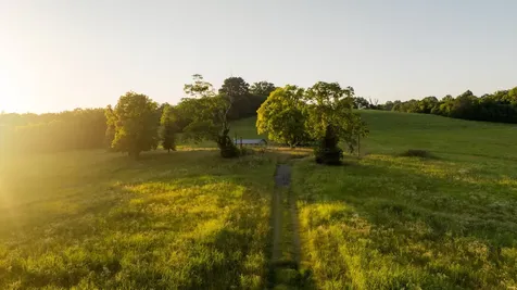 3556 Buford Station Road Lynnville TN 38472