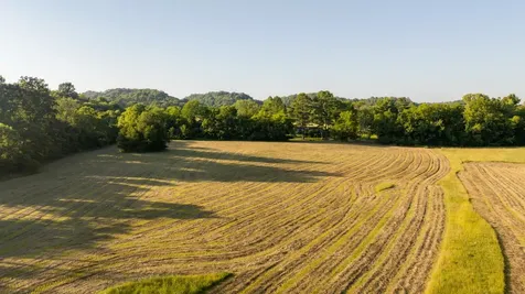 3556 Buford Station Road Lynnville TN 38472