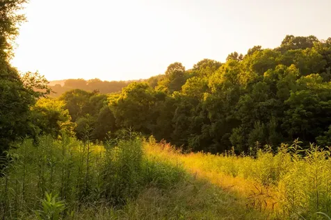 3556 Buford Station Road Lynnville TN 38472