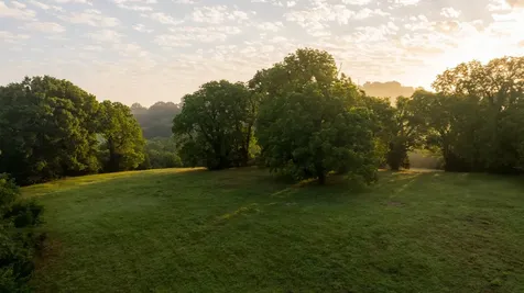 3556 Buford Station Road Lynnville TN 38472