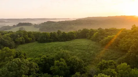 3556 Buford Station Road Lynnville TN 38472