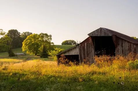 3556 Buford Station Road Lynnville TN 38472
