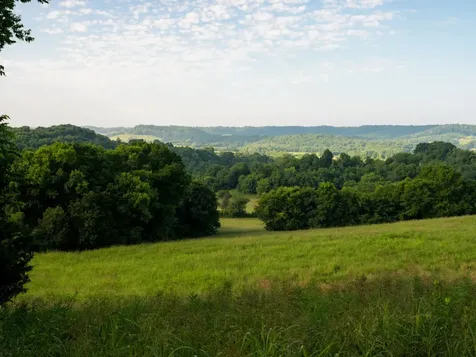3556 Buford Station Road Lynnville TN 38472