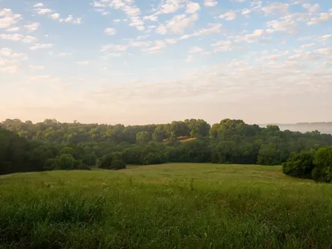 3556 Buford Station Road Lynnville TN 38472