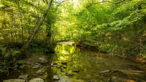 3556 Buford Station Road Lynnville TN 38472