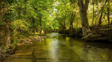 3556 Buford Station Road Lynnville TN 38472